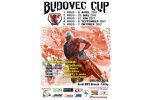 Budovec Cup 2017 - tretie pokračovanie
