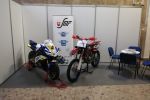 SMF na Športfestivale 2019