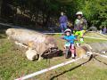 IMG_20190921_101306.jpg