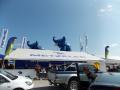 DSCN09081.jpg