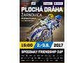 Friendshipcup-plagat-A2304.png