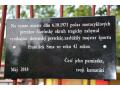 15a.JPG