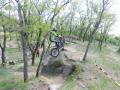DSCN5398.jpg